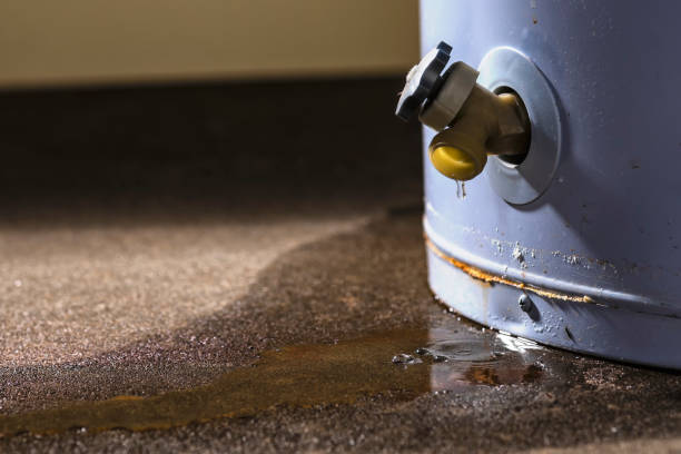Best Water damage cleanup near me  in Deatsville, AL