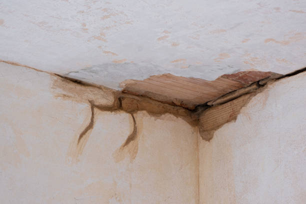 Best Flood restoration services  in Deatsville, AL