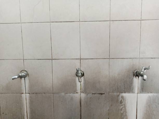 Best Water damage restoration near me  in Deatsville, AL