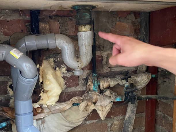 Best Professional water damage repair  in Deatsville, AL