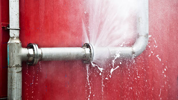 Best Water damage restoration cost  in Deatsville, AL